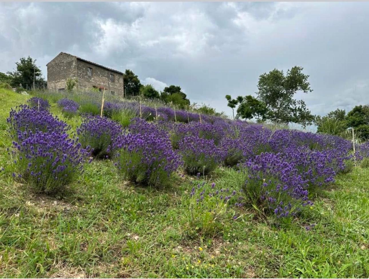 Mariella Vernile Civitella Roveto Εξωτερικό φωτογραφία
