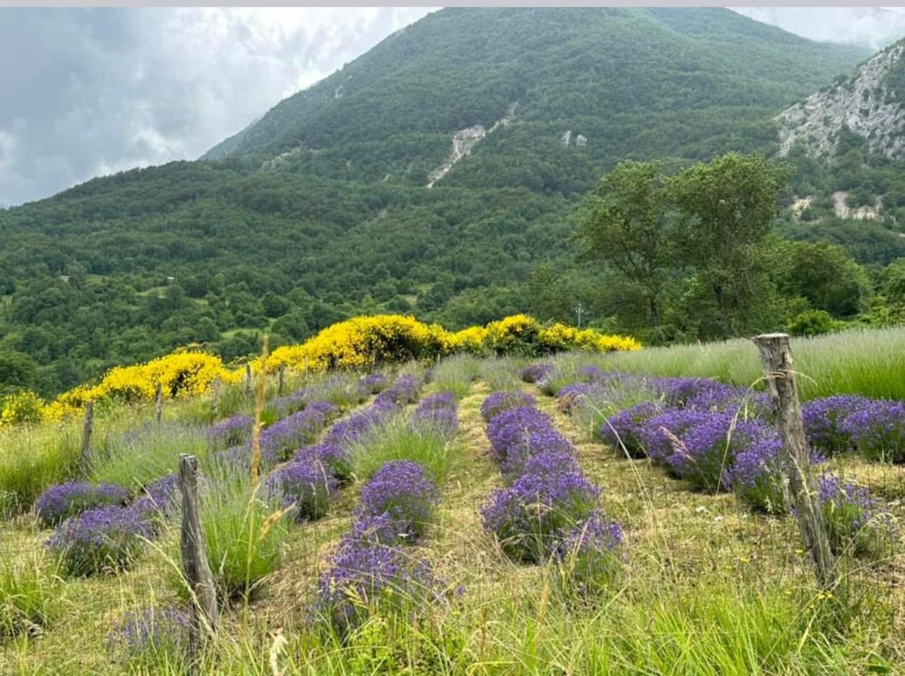 Mariella Vernile Civitella Roveto Εξωτερικό φωτογραφία